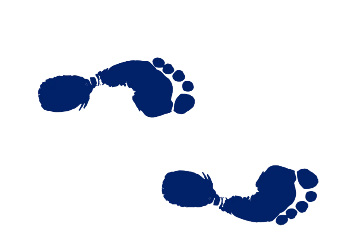 herobannerfootprints